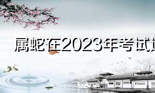 属蛇在2023年考试运 生肖蛇2023年运势及运程每月