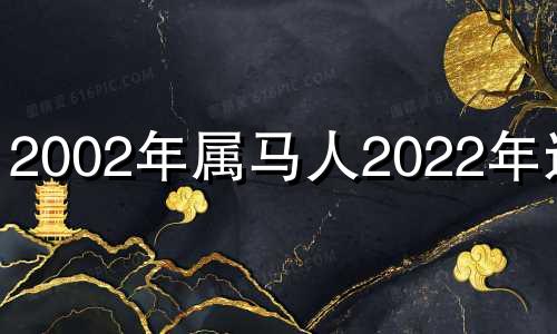 2002年属马人2022年运势 2002年马在2023年运势