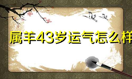 属羊43岁运气怎么样 2021年43岁属羊