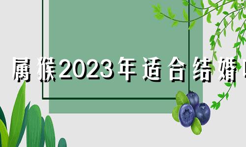 属猴2023年适合结婚吗 2023年 猴