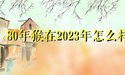 80年猴在2023年怎么样 80年属猴男2023年的运势和婚姻