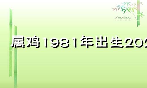 属鸡1981年出生2023年 1981年属鸡人2023年运势及运程