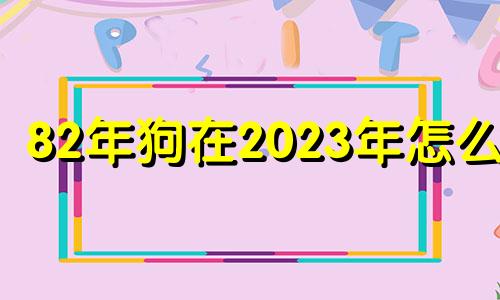 82年狗在2023年怎么样 82年属狗男2023年