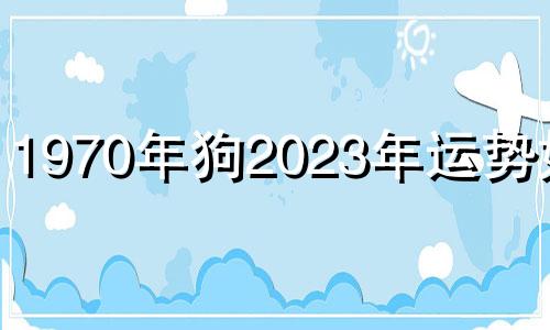 1970年狗2023年运势如何 1970年属狗2023年全年运势