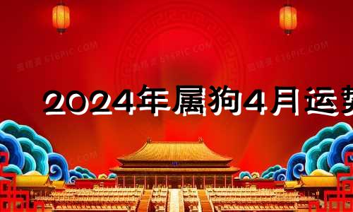 2024年属狗4月运势 属狗人2023年感情运势