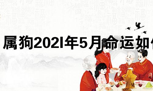 属狗202l年5月命运如何 2021年属狗5月份运势