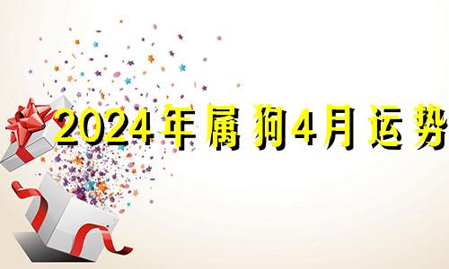 2024年属狗4月运势 属狗2023年属狗每月运势和运