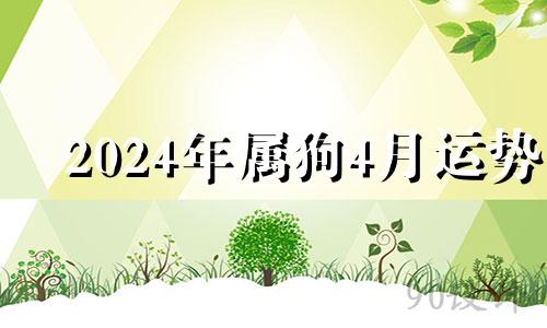 2024年属狗4月运势 2023年属狗人每月之详解