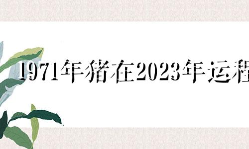 1971年猪在2023年运程 1971年属猪202年运势及运程