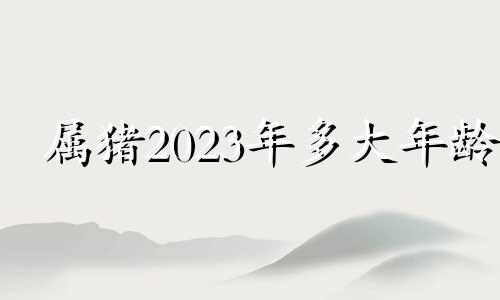 属猪2023年多大年龄 属猪的2023年多大