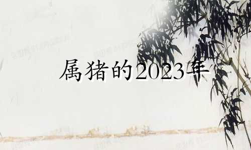 属猪的2023年 属猪2023年运势及运程 2023年属猪人的全年每月运势