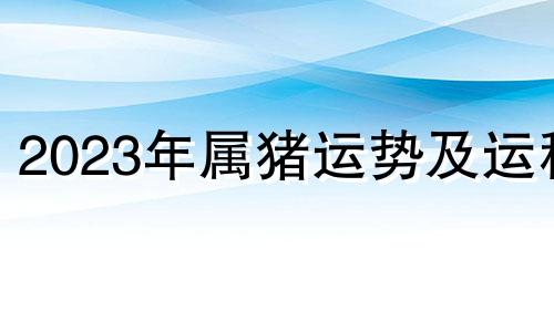 2023年属猪运势及运程 2023年属猪人的全年运势