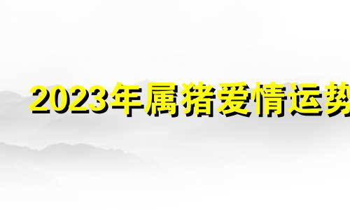 2023年属猪爱情运势 属猪2023年感情运势