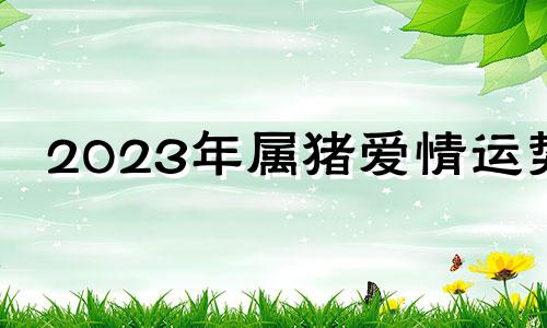 2023年属猪爱情运势 2023年属猪人的全年运势详解