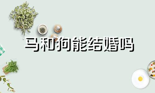 马和狗能结婚吗 马跟狗结婚命运如何