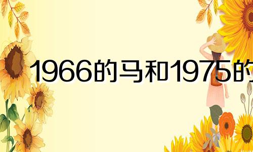 1966的马和1975的兔 66年马和75兔的婚姻如何