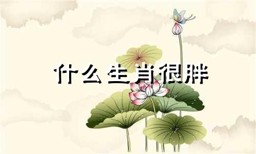 什么生肖很胖 什么生肖胖了运气好