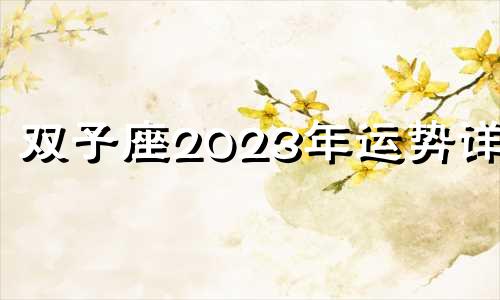 双子座2023年运势详解 双子座2021年至2030年运势