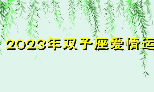 2023年双子座爱情运势 2023双子座全年运势如何