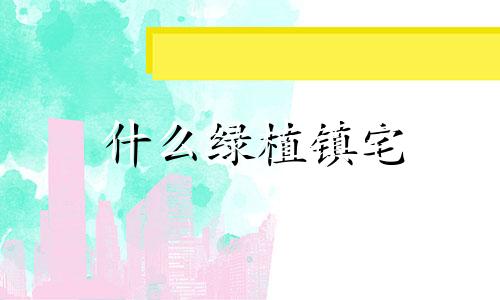 什么绿植镇宅 镇宅绿植花卉哪种好养