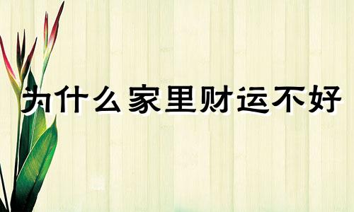 为什么家里财运不好 容易导致家里财运不济的风水