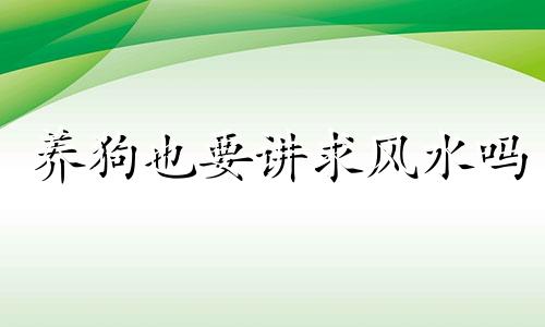 养狗也要讲求风水吗 养狗的风水该不该信呢