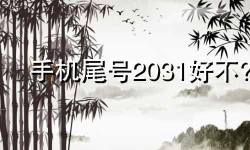 手机尾号2031好不? 手机尾号2039