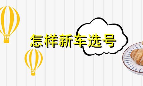 怎样新车选号 买新车怎样选号