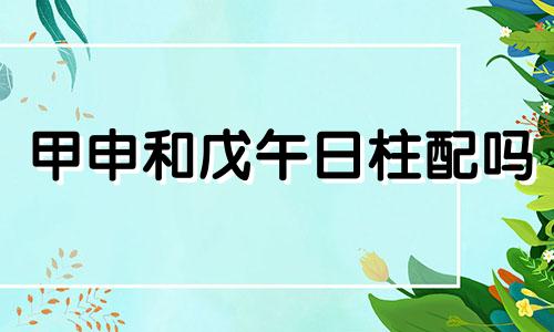 甲申和戊午日柱配吗 甲申男和戊辰女可以在一起吗