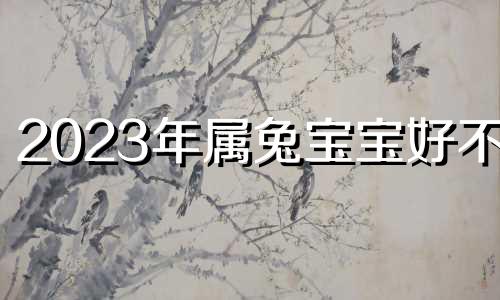 2023年属兔宝宝好不好 2023年兔宝宝什么命属五行属什么