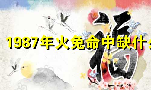 1987年火兔命中缺什么 1987火兔的命运怎么样