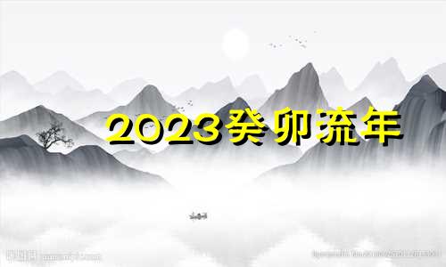 2023癸卯流年 2023年癸卯年解读