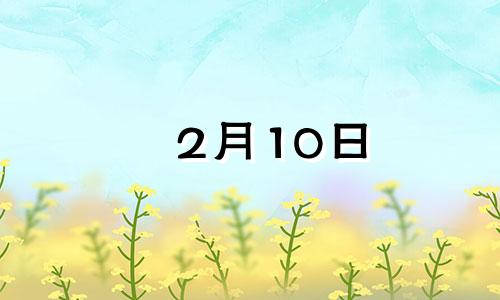 2月10日 生日 2月10日生的是什么星座