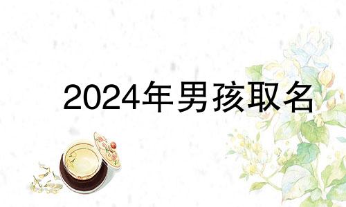 2024年男孩取名 2024出生的宝宝是什么命