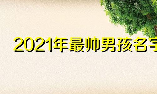 2021年最帅男孩名字 2024年男孩取名