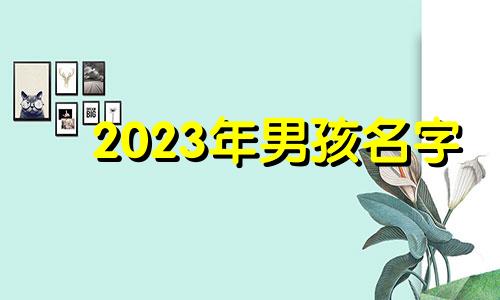 2023年男孩名字 202男孩子名字