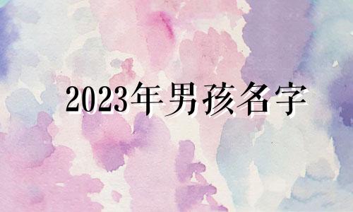 2023年男孩名字 2023兔年男孩取什么名字好