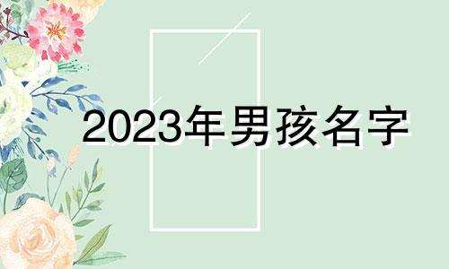 2023年男孩名字 2023年出生的男孩多还是女孩多