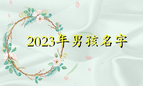 2023年男孩名字 202年男宝名字