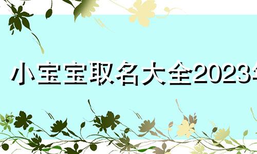 小宝宝取名大全2023年 小宝宝取名大全男孩