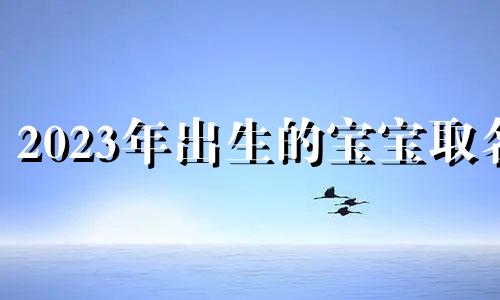 2023年出生的宝宝取名 2023年生的宝宝