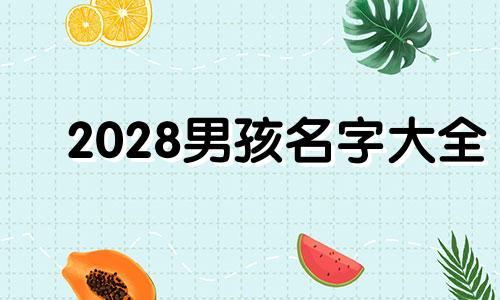 2028男孩名字大全 2821男孩名字