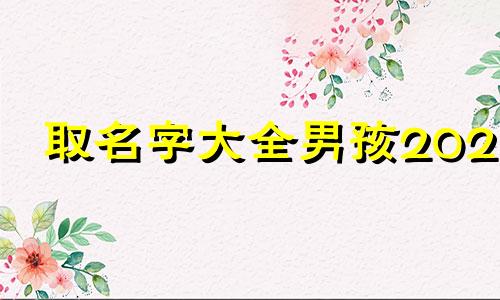 取名字大全男孩2021 取名字大全免费2022男孩子