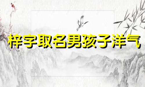 梓字取名男孩子洋气 梓字取名男孩子洋气的名字