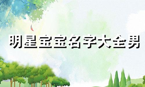 明星宝宝名字大全男 明星宝宝名字大全集