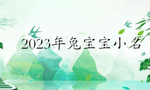 2023年兔宝宝小名 2023名字女宝