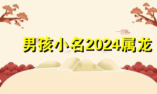 男孩小名2024属龙 男孩小名2024