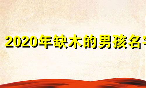 2020年缺木的男孩名字 今年缺木男宝宝名字