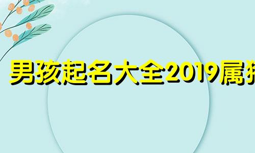 男孩起名大全2019属猪 2019属猪男宝宝名字大全