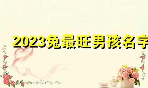 2023兔最旺男孩名字 宸字取名男孩霸气名字两个字